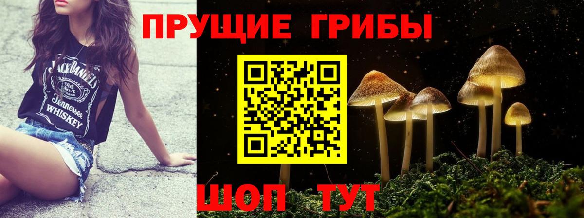 Галлюциногенные грибы мицелий Ишим